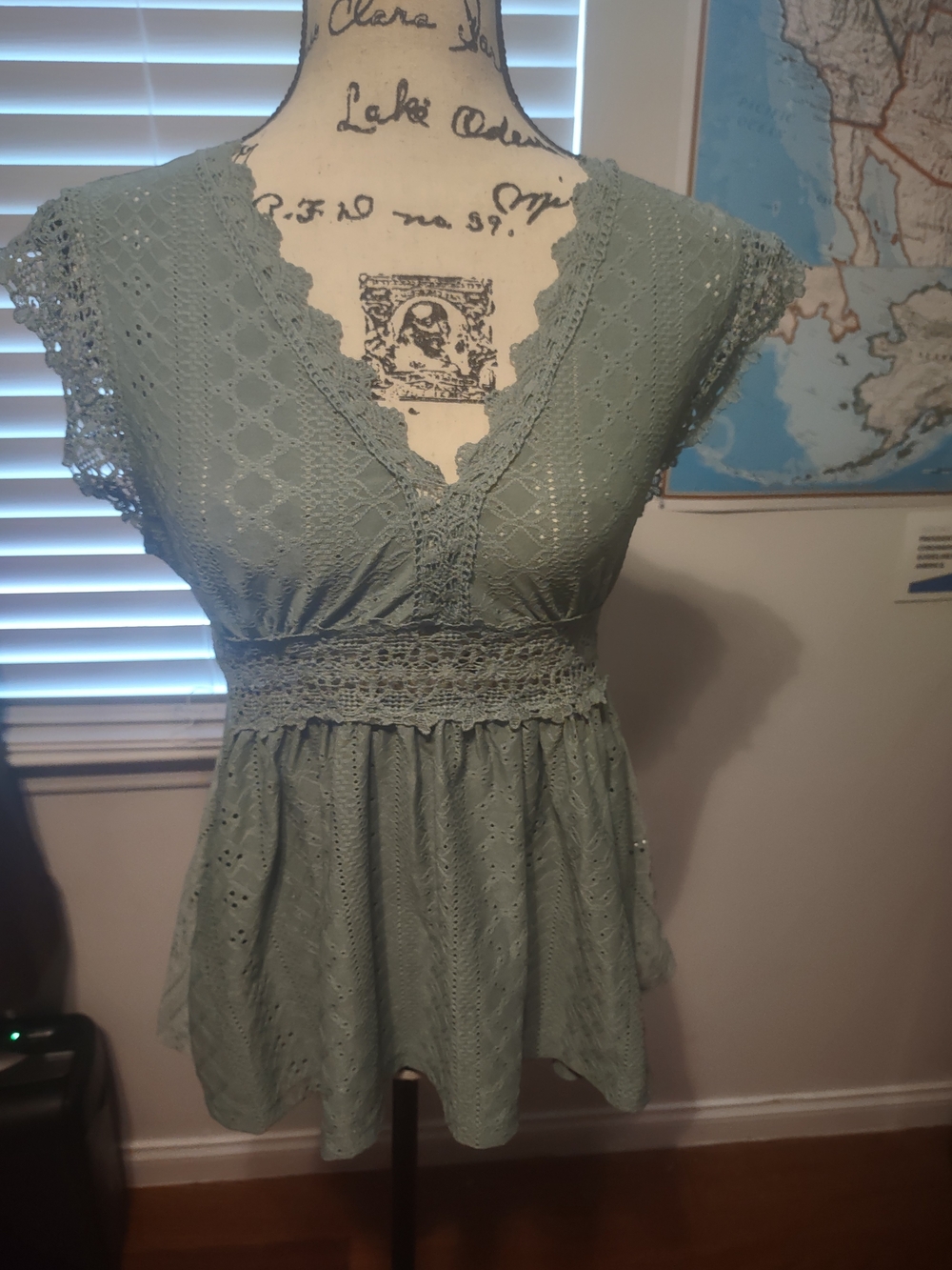 SHEIN Sage Green Eyelet Lace V-Neck Peplum Top